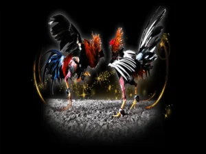 Bí Kíp Chơi Đá Gà Sabong Tại BongX9 Luôn Thắng Từ Các Cao Thủ