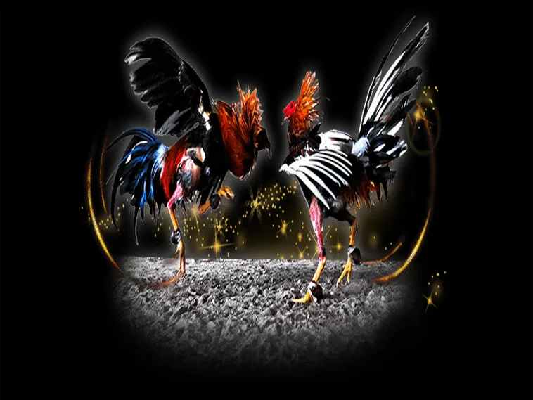 Bí Kíp Chơi Đá Gà Sabong Tại BongX9 Luôn Thắng Từ Các Cao Thủ 1 Bí Kíp Chơi Đá Gà Sabong Tại BongX9 Luôn Thắng Từ Các Cao Thủ